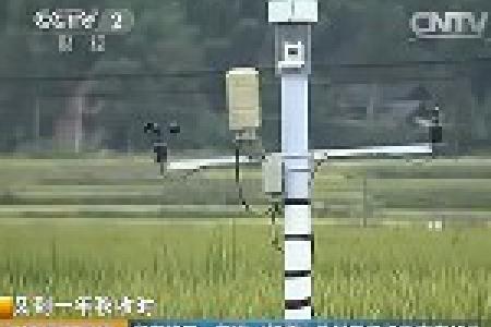 师徒“打擂” 欲刷新超级稻亩产记录