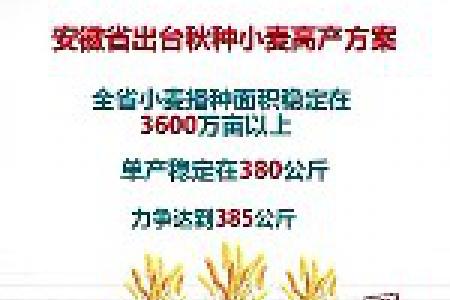 安徽省出台秋种小麦高产方案