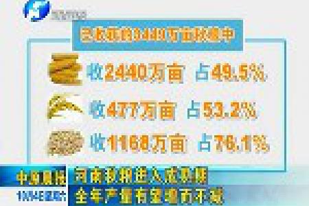 河南秋粮进入成熟期 全年产量有望增而不减