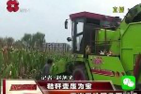 秸秆变废为宝 不出田地回收再利用
