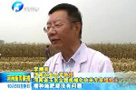 河南合力推进玉米生产全程机械化