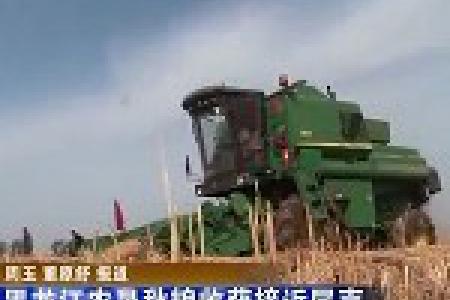 黑龙江农垦秋粮收获接近尾声