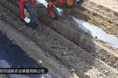 蔬菜辣椒移栽机价格