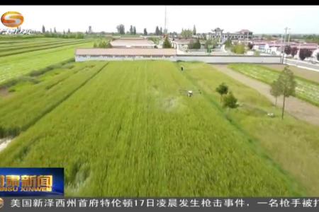 甘肃省安排“三夏”农机跨区机收小麦工作