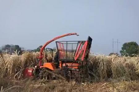 沃工履带拖拉机青贮收获视频