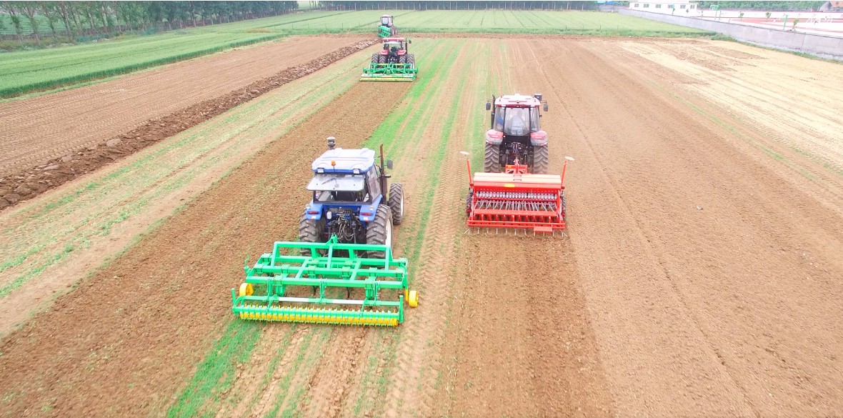 大华宝来 大华宝来.jpg