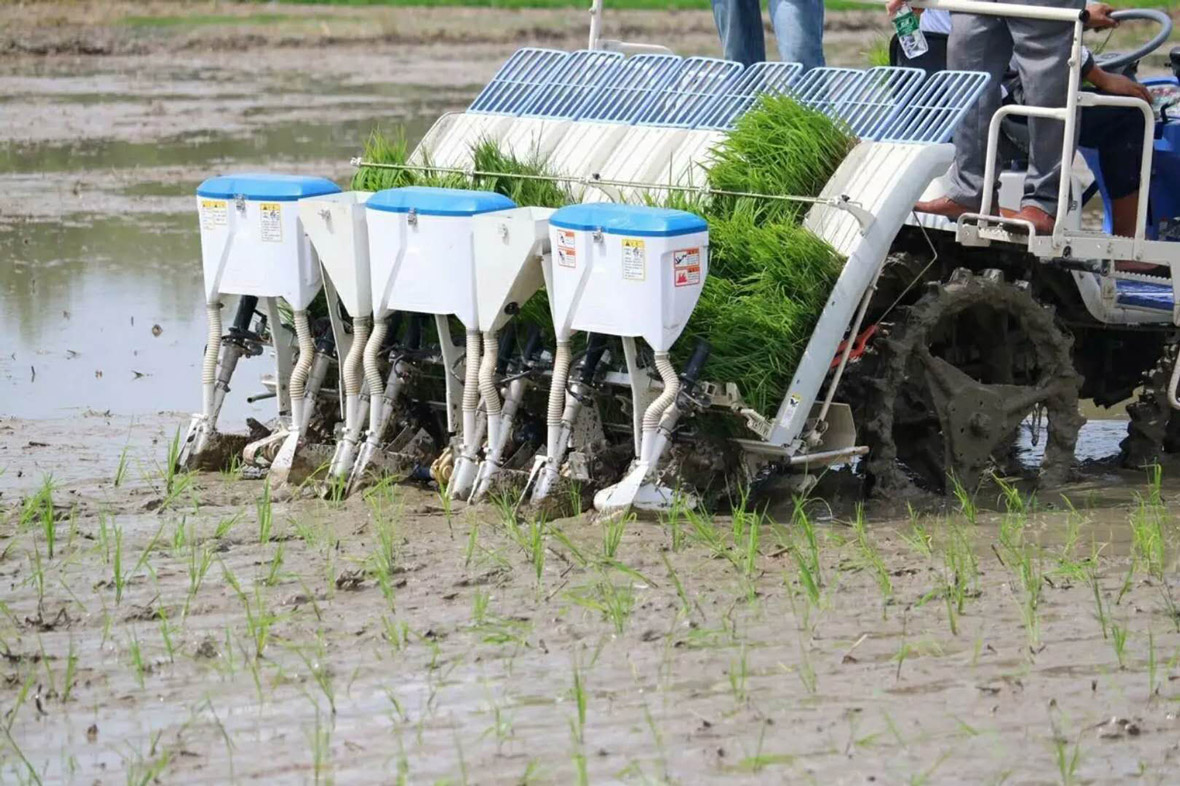 龙舟2FH-8型水稻插秧同步精量施肥机