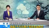 陕西急拨2千万元用于雪天农业救灾