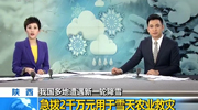 陕西急拨2千万元用于雪天农业救灾
