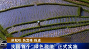 我国首个“绿色税法”正式实施