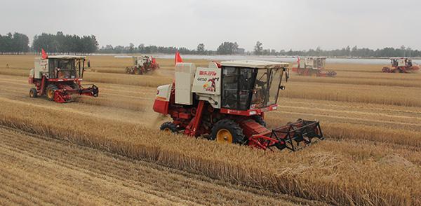 各省2019年农机补贴产品归档信息汇总（及时更新）