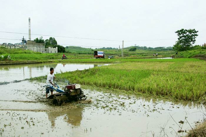安徽2019农机补贴资金实施结算进度通报 