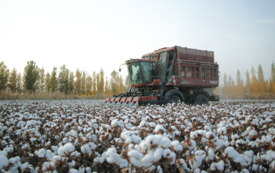 你的棉田需要这样一位红衣“大侠”