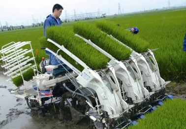 安徽2019农机补贴资金实施结算进度(8.30)