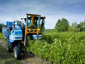 上海2019农机鉴定证书有效期内产品监督