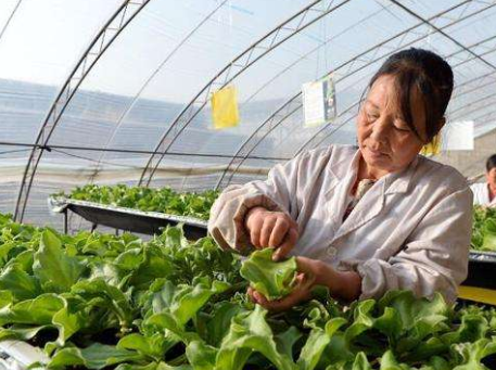 增加120个农民合作社提升整县推进试点