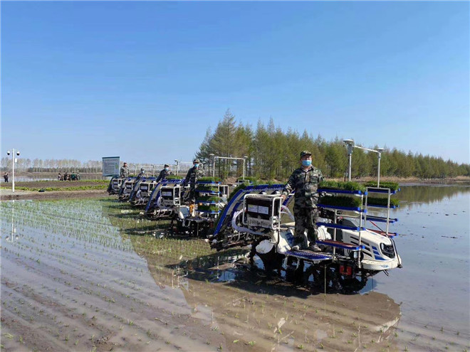 国产高速插秧机崛起有啥奥秘？这三位经销商有话说！