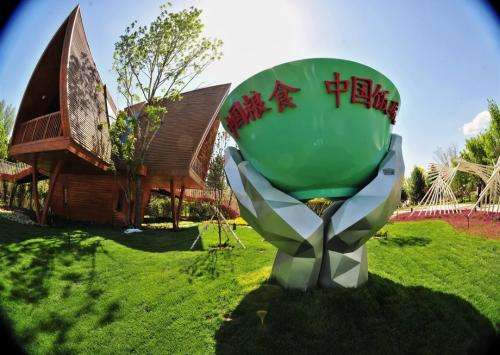 端牢“中国饭碗”播种绿色小康