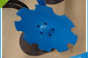 discs 1q6