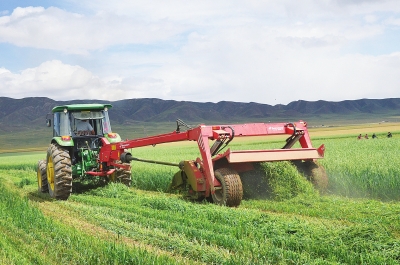 青海:高品质牧草生产全程机械化正待破茧