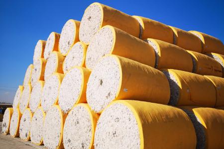 鑫福缘牌国产棉花打包膜