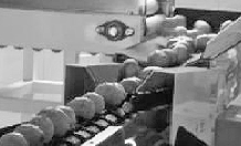 《现代农业装备与应用》—— 水果机械-初加工机械