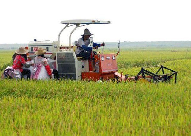 甘肃省关于2019年第三批农业机械推广鉴定结果的通报