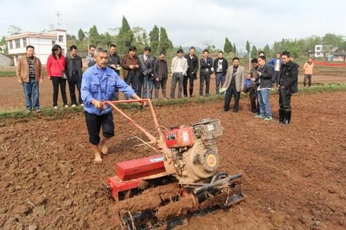 重庆市关于部分试验鉴定证书有效期更正的通告