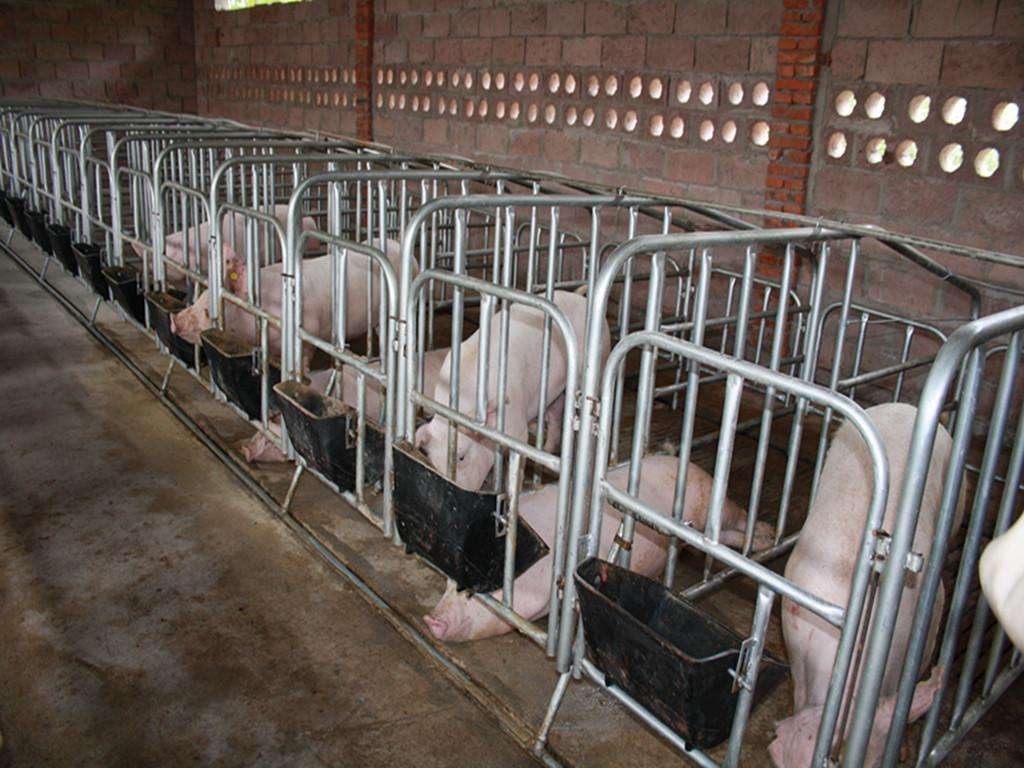 农业农村部农业机械试验鉴定总站关于大力推进生猪生产农机装备试验鉴定工作的通知