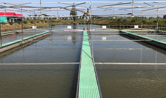 跑道养鱼设备设施
