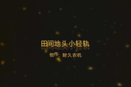 重庆市彭水县严总驾驶轨道运输机。