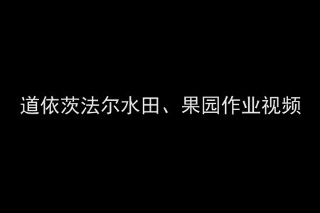 道依茨法尔水田专用果园专用拖拉机作业视频