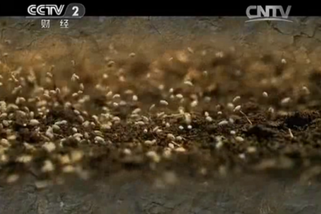 央视大型纪录片《互联网时代》 第一集 时代