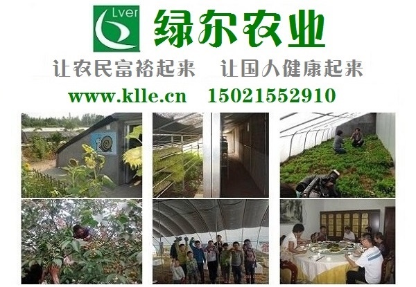 1、绿尔庄园-1