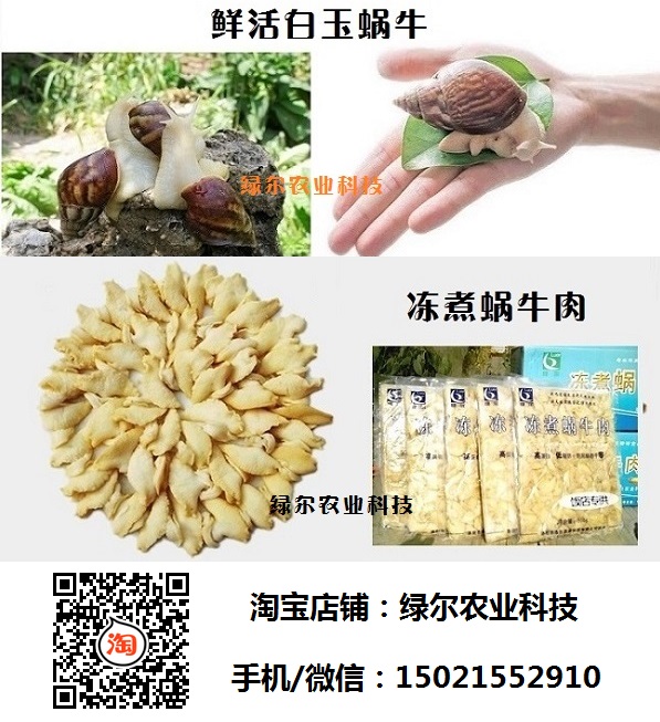 汇总-1