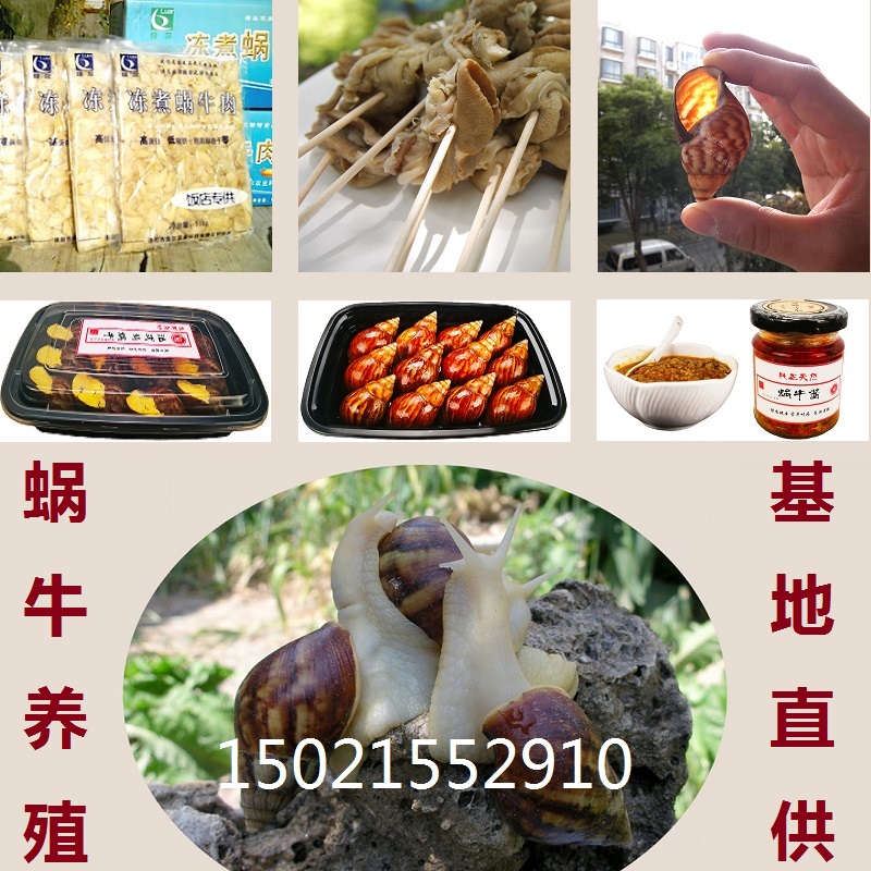 汇总-3