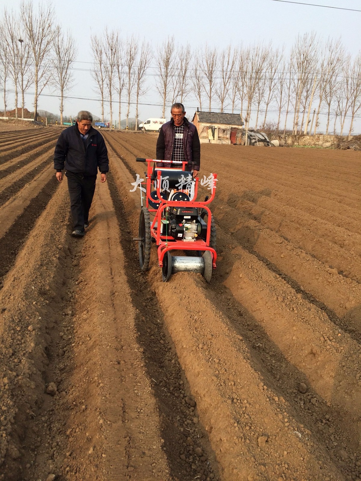 台湾大顺ds-4莱西大顺白萝卜播种机 胡萝卜播种机白菜播种机