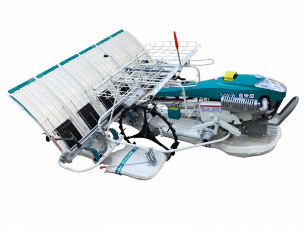 金禾田2zs-6(电启动)水稻插秧机